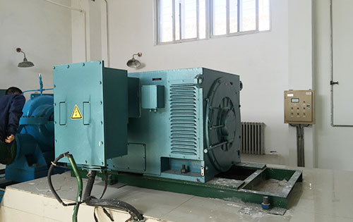 葫芦岛某水电站工程主水泵使用我公司高压电机