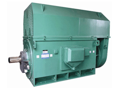 葫芦岛Y系列6KV高压电机
